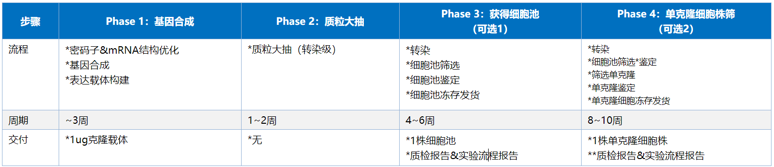 穩轉細胞株構建