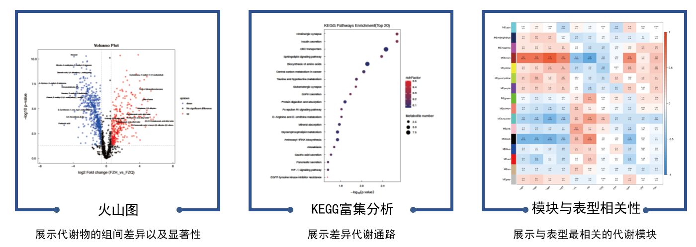 57d37d72-2c95-4b99-a8f8-33c59369222e 57d37d72-2c95-4b99-a8f8-33c59369222e
