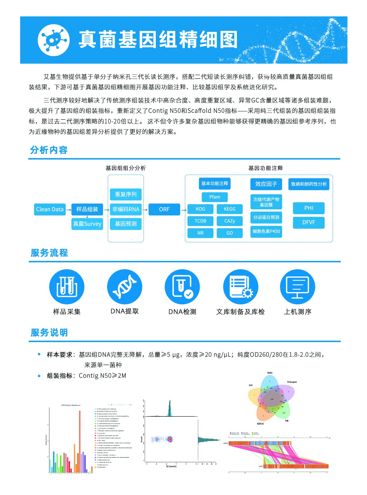 4.真菌基因組精細圖
